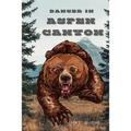 Danger In Aspen Canyon - Paperback