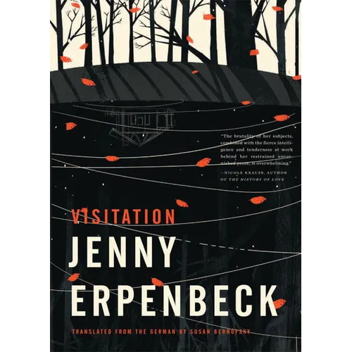Visitation - Paperback
