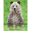Bears of the North: A Year Inside Their Worlds - Hardcover