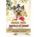 Groom Your Doodle At Home: What You Should Know About Grooming A Doodle: Home Dog Grooming For Your Doodle - Paperback