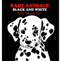 Baby Animals: Black and White - Board Book