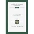 Hebrews: An Introduction and Commentary - Paperback