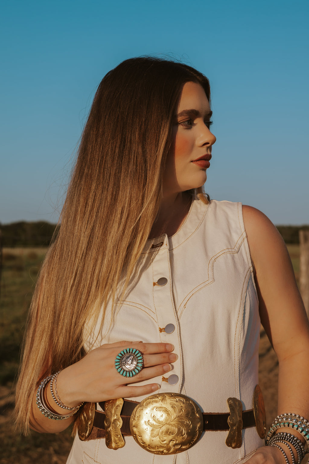 The Cordell Denim Dress- Extra Small