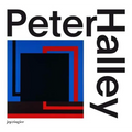 Peter Halley: Paintings of the 1980s: The Catalogue Raisonné - Hardcover