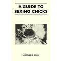A Guide to Sexing Chicks - Paperback