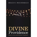 Divine Providence: God's Love and Human Freedom - Hardcover