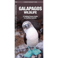 Galapagos Wildlife: An Introduction to Familiar Species - Paperback