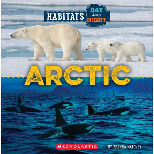 Arctic (Wild World: Habitats Day and Night) - Paperback