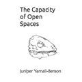 The Capacity of Open Spaces - Paperback