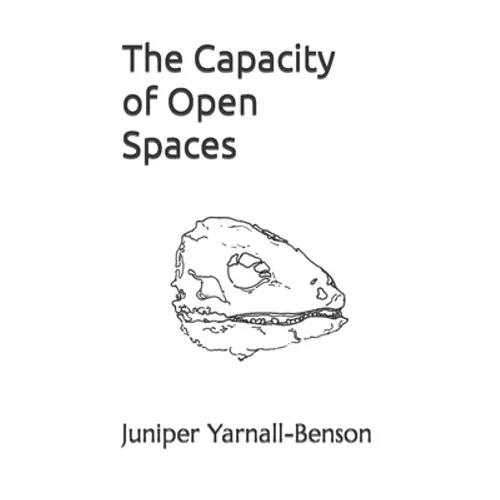 The Capacity of Open Spaces - Paperback