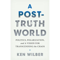 A Post-Truth World: Politics, Polarization, and a Vision for Transcending the Chaos - Paperback