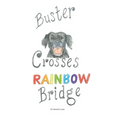 Buster Crosses Rainbow Bridge - Paperback