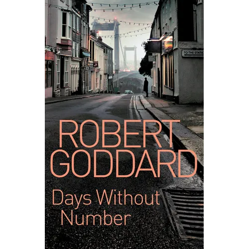 Days Without Number - Paperback