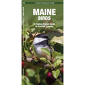 Maine Birds: A Folding Pocket Guide to Familiar Species - Paperback
