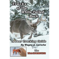 Tracks of the White-Tailed Buck: A Deer Tracking Guide - Paperback