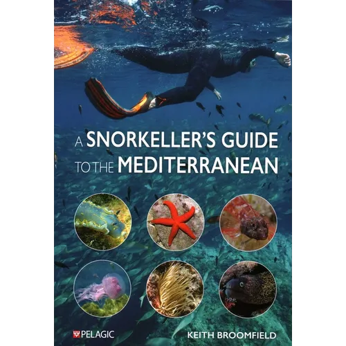 Snorkeller's Guide to the Mediterranean: A Photographic Id Guide to the Most Commonly Encountered Marine Species - Paperback