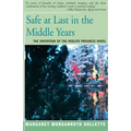 Safe at Last in the Middle Years: The Invention of the Midlife Progress Novel - Paperback