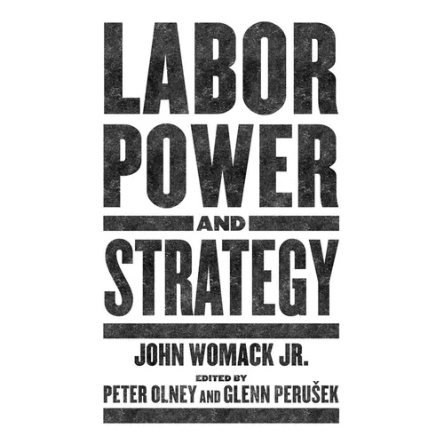 Labor Power and Strategy - Paperback