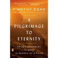 A Pilgrimage to Eternity: From Canterbury to Rome in Search of a Faith - Paperback