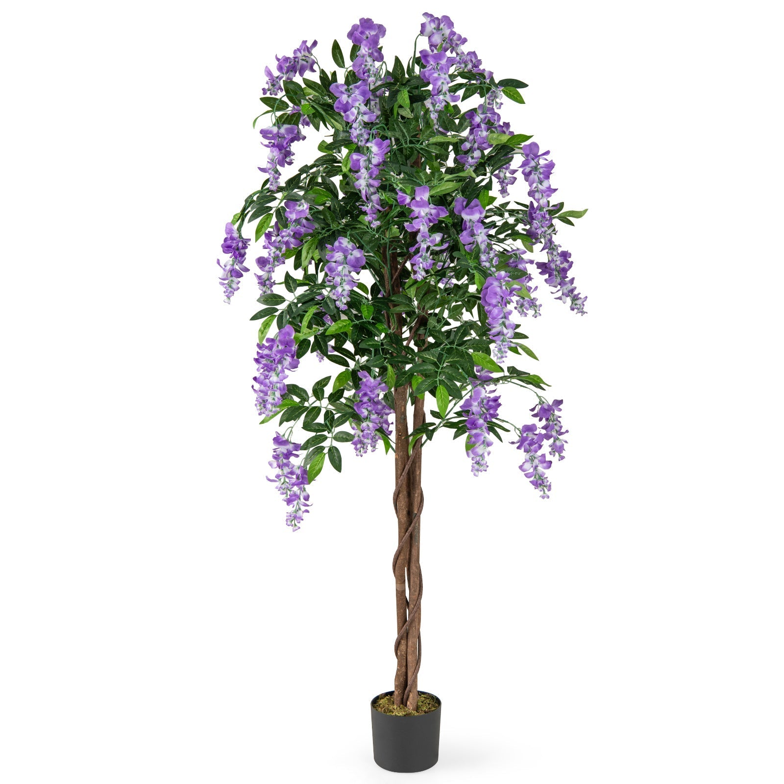 5.5 FT Faux Wisteria Plant in Nursery Pot with Blooming Flowers