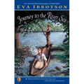 Journey to the River Sea - Paperback