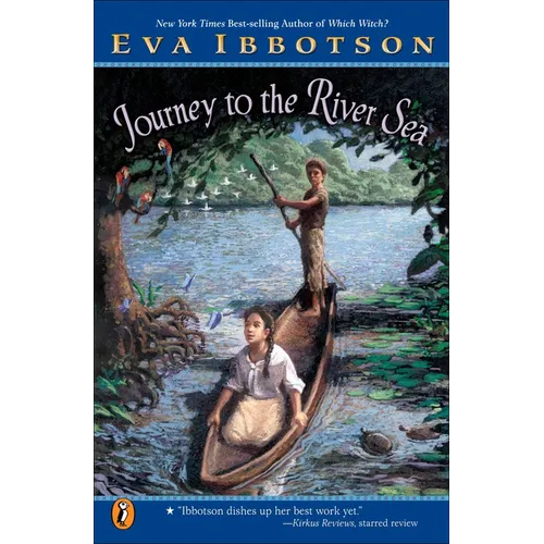 Journey to the River Sea - Paperback