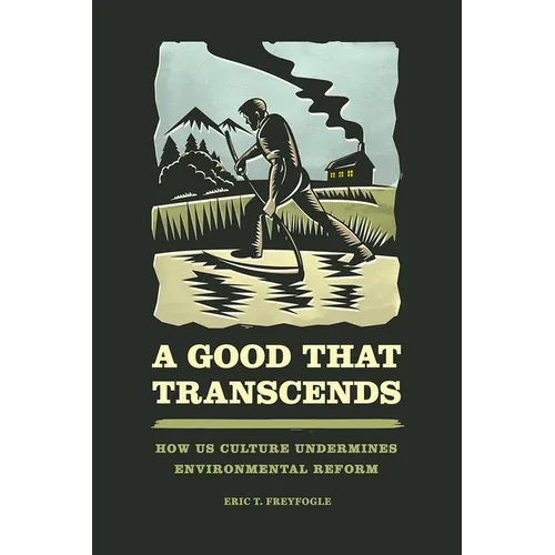 A Good That Transcends: How US Culture Undermines Environmental Reform - Paperback
