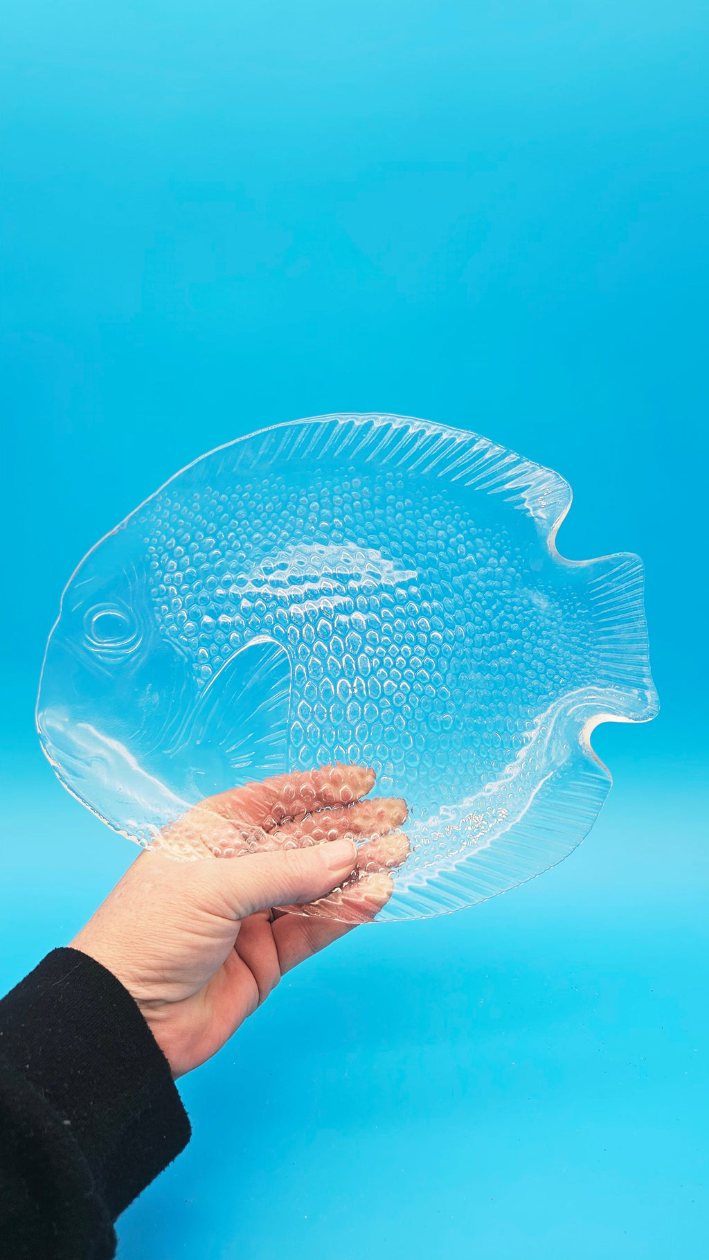 Vintage Clear Glass Fish Plate (10" x 8.25")
