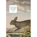 The Rabbit Between Us - Paperback