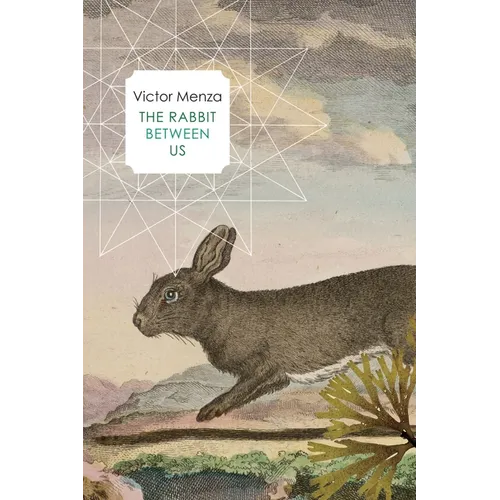 The Rabbit Between Us - Paperback