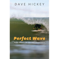 Perfect Wave: More Essays on Art and Democracy - Paperback