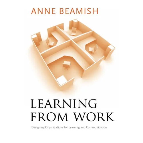Learning from Work: Designing Organizations for Learning and Communication - Paperback