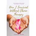 How I Survived Without Chemo Therapy: One Woman's Story From Diagnosed to Thriving - Paperback