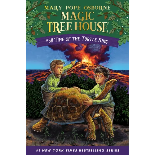 Time of the Turtle King - Hardcover