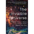 The Invisible Universe: Why There's More to Reality Than Meets the Eye - Paperback