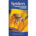 Spiders of the United States & Canada: Easily Identify 158 Common Species - Spiral