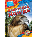 Red-Tailed Hawks - Library Binding