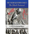 The Negro Question Part 3 the Black Pentecost - Paperback