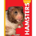 Curious about Hamsters - Paperback