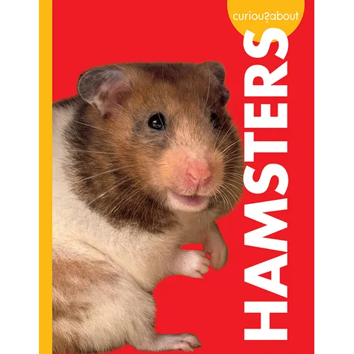 Curious about Hamsters - Paperback