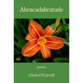 Abracadabratude - Paperback