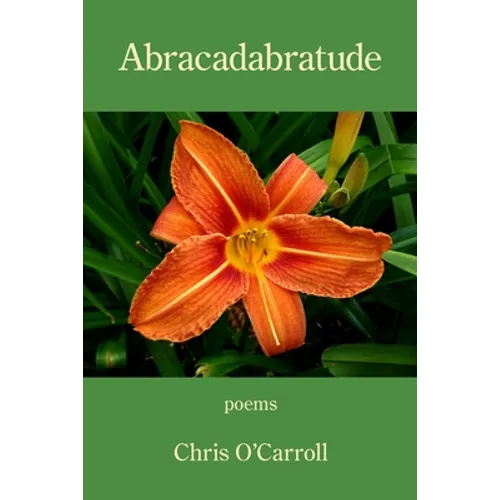 Abracadabratude - Paperback