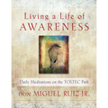 Living a Life of Awareness: Daily Meditations on the Toltec Path - Paperback