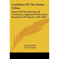 Condition Of The Indian Tribes: Report Of The Joint Special Committee, Appointed Under Joint Resolution Of March 3, 1865 (1867) - Paperback
