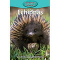 Echidnas - Paperback