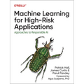 Machine Learning for High-Risk Applications: Approaches to Responsible AI - Paperback