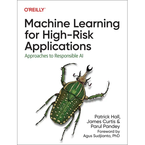 Machine Learning for High-Risk Applications: Approaches to Responsible AI - Paperback