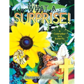 What a Surprise!: A Caterpillar to a Butterfly - Paperback