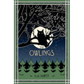 The Owlings: A Worldview Novella - Paperback