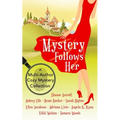 Mystery Follows Her: A cozy mystery multi-author collection - Paperback